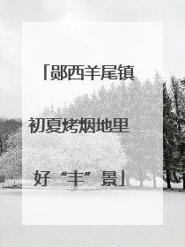 郧西羊尾镇初夏烤烟地里好“丰”景