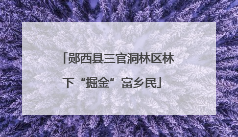 郧西县三官洞林区林下“掘金”富乡民