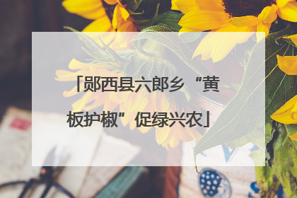 郧西县六郎乡“黄板护椒”促绿兴农