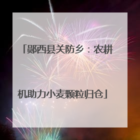 郧西县关防乡：农耕机助力小麦颗粒归仓