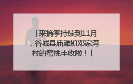 采摘季持续到11月，谷城县庙滩镇邓家湾村的蜜桃丰收啦！