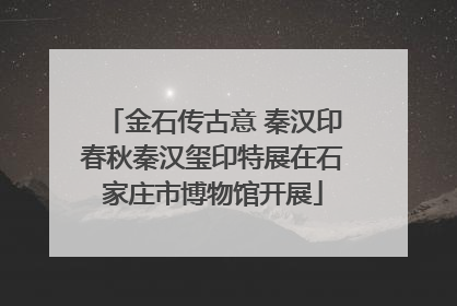 金石传古意 秦汉印春秋秦汉玺印特展在石家庄市博物馆开展