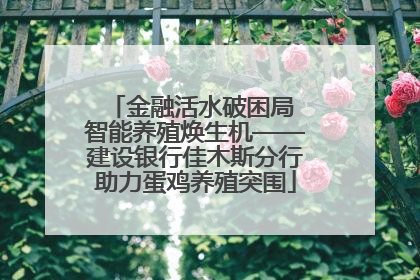 金融活水破困局 智能养殖焕生机——建设银行佳木斯分行助力蛋鸡养殖突围