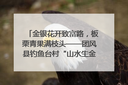 金银花开致富路，板栗青果满枝头——团风县钓鱼台村“山水生金”谱写共富新篇章