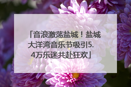 音浪激荡盐城！盐城大洋湾音乐节吸引5.4万乐迷共赴狂欢