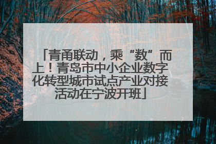 青甬联动，乘“数”而上！青岛市中小企业数字化转型城市试点产业对接活动在宁波开班