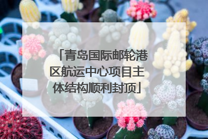 青岛国际邮轮港区航运中心项目主体结构顺利封顶