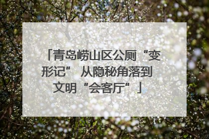 青岛崂山区公厕“变形记” 从隐秘角落到文明“会客厅”