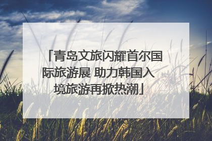 青岛文旅闪耀首尔国际旅游展 助力韩国入境旅游再掀热潮