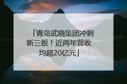 青岛武晓集团冲刺新三板！近两年营收均超20亿元