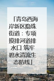 青岛西海岸新区隐珠街道：专项摸排河道排水口 筑牢碧水清流生态防线