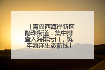 青岛西海岸新区隐珠街道：集中排查入海排污口，筑牢海洋生态防线