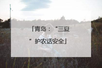 青岛：“三夏”护农话安全