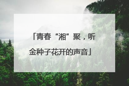 青春“湘”聚，听金种子花开的声音