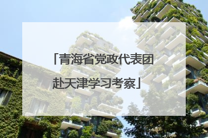 青海省党政代表团赴天津学习考察