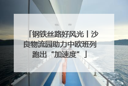 钢铁丝路好风光丨沙良物流园助力中欧班列跑出“加速度”
