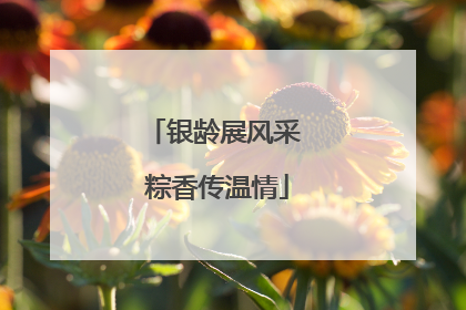 银龄展风采 粽香传温情