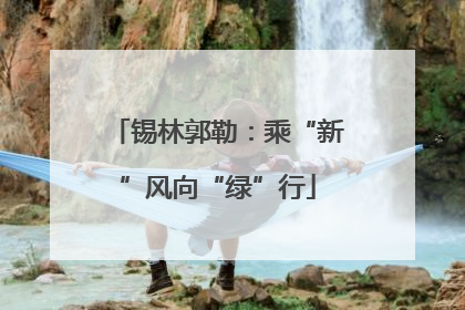 锡林郭勒：乘“新”风向“绿”行