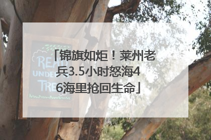 锦旗如炬！莱州老兵3.5小时怒海46海里抢回生命