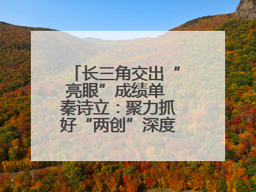长三角交出“亮眼”成绩单 秦诗立：聚力抓好“两创”深度融合这个棋眼
