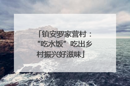 镇安罗家营村：“吃水饭”吃出乡村振兴好滋味