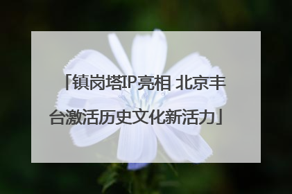 镇岗塔IP亮相 北京丰台激活历史文化新活力