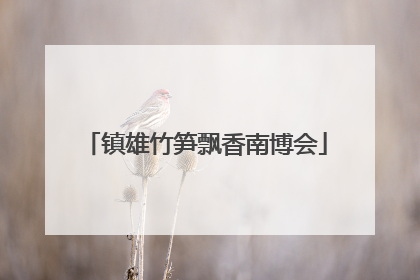 镇雄竹笋飘香南博会