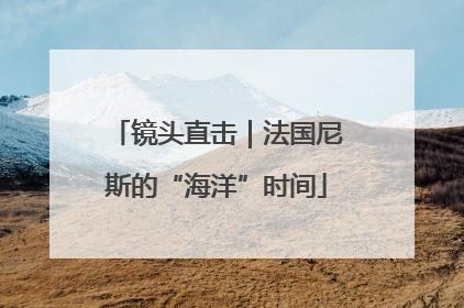 镜头直击｜法国尼斯的“海洋”时间