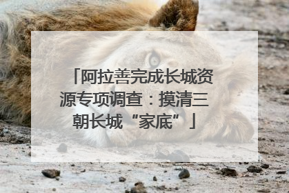 阿拉善完成长城资源专项调查：摸清三朝长城“家底”