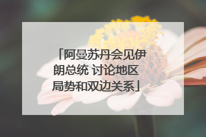 阿曼苏丹会见伊朗总统 讨论地区局势和双边关系