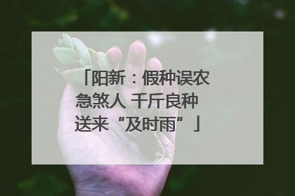 阳新：假种误农急煞人 千斤良种送来“及时雨”