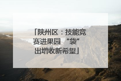 陕州区：技能竞赛进果园 “袋”出增收新希望