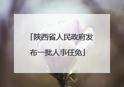 陕西省人民政府发布一批人事任免