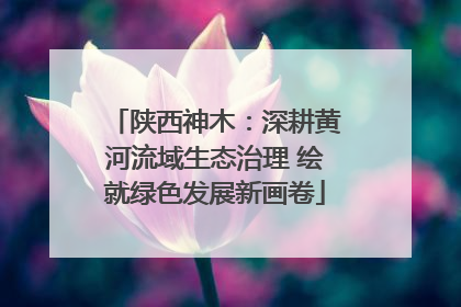 陕西神木：深耕黄河流域生态治理 绘就绿色发展新画卷