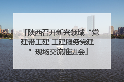 陕西召开新兴领域“党建带工建 工建服务党建”现场交流推进会