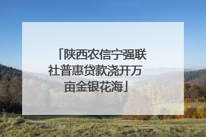 陕西农信宁强联社普惠贷款浇开万亩金银花海