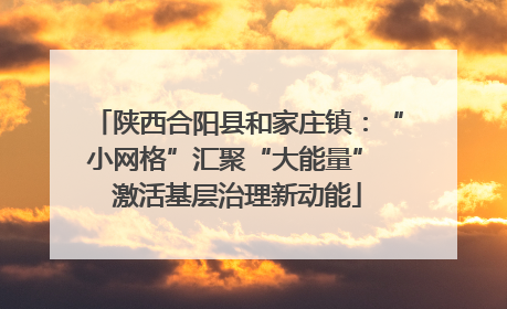 陕西合阳县和家庄镇：“小网格”汇聚“大能量” 激活基层治理新动能