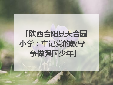 陕西合阳县天合园小学：牢记党的教导 争做强国少年