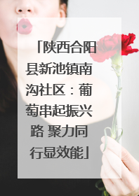 陕西合阳县新池镇南沟社区：葡萄串起振兴路 聚力同行显效能