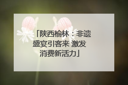 陕西榆林：非遗盛宴引客来 激发消费新活力