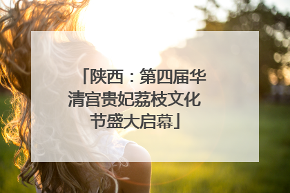 陕西：第四届华清宫贵妃荔枝文化节盛大启幕