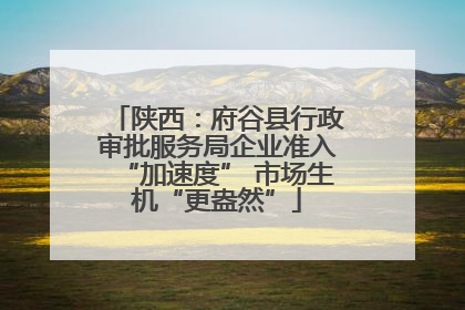 陕西：府谷县行政审批服务局企业准入“加速度” 市场生机“更盎然”