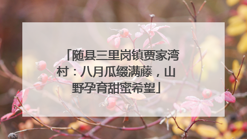 随县三里岗镇贾家湾村：八月瓜缀满藤，山野孕育甜蜜希望