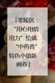 零陵区：“用心用情用力”绘就“中药香”特色小镇新画卷