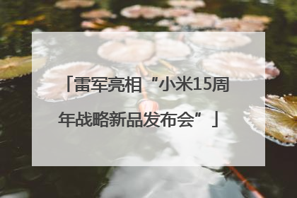 雷军亮相“小米15周年战略新品发布会”