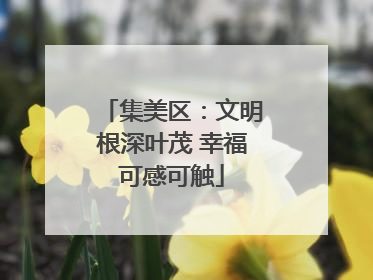 集美区：文明根深叶茂 幸福可感可触