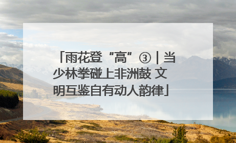 雨花登“高”③｜当少林拳碰上非洲鼓 文明互鉴自有动人韵律