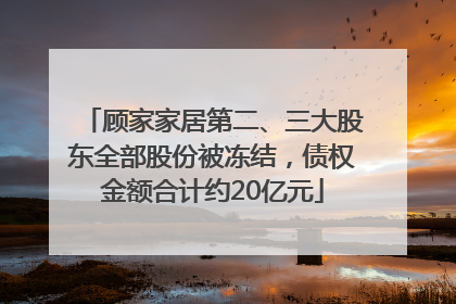 顾家家居第二、三大股东全部股份被冻结，债权金额合计约20亿元