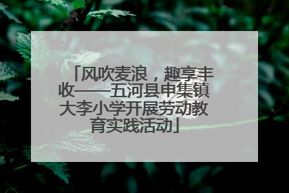 风吹麦浪，趣享丰收——五河县申集镇大李小学开展劳动教育实践活动