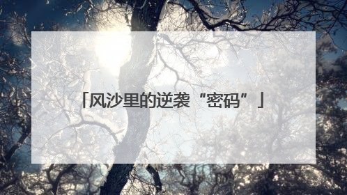 风沙里的逆袭“密码”
